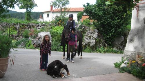 Tourist Farm Dujceva Domacija