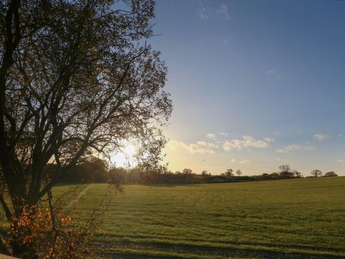 The Barbon - image 11