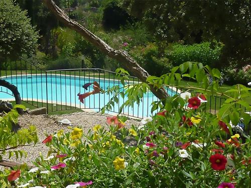 Modern villa with private pool in Roquebrun - Accommodation - Crillon-le-Brave