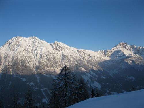 Ferienhaus Andreas in Flachau