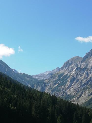 Frühstückspension Seeberghof in Seewiesen, Österreich