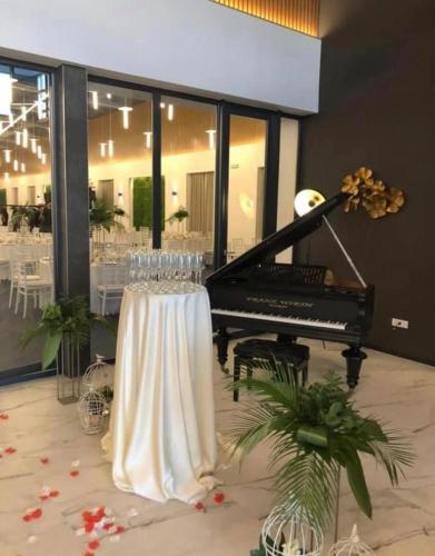 Pensiunea Sara in Foksány