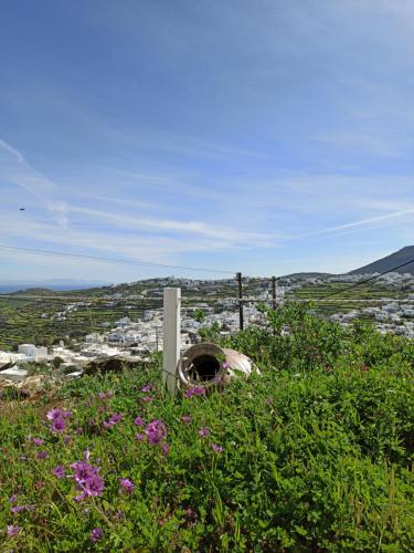 Sifnos View