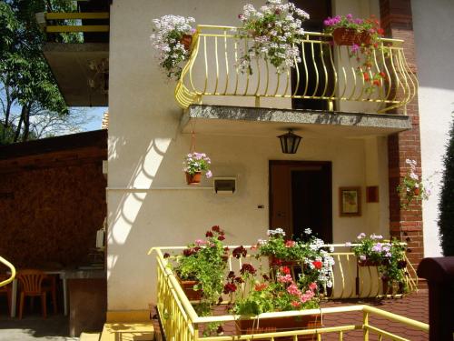 Guest House Rusalka in Šipkovo