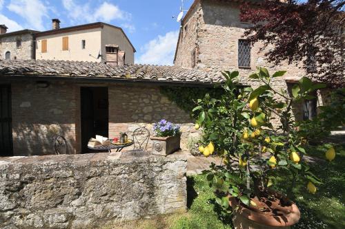Granaio, Sovicille (foto 2)