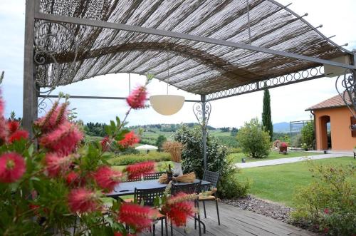 Mimosa, Peccioli (photo 3)