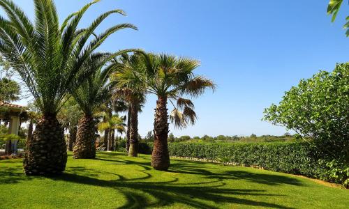 Garden, 4 bedrooms villa with city view private pool and enclosed garden at Carvoeiro 2 km away from the bea in Estombar