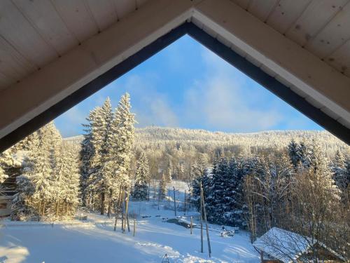 White Holiday Domki i Apartamenty