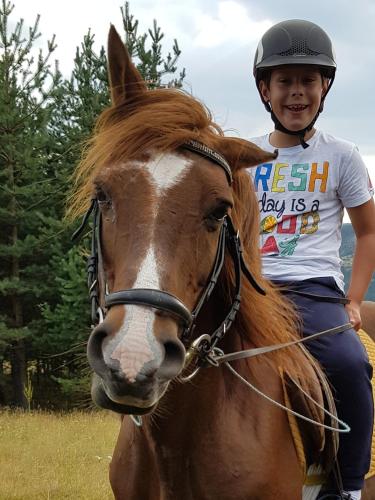 Dona Guest House - Horse Riding - image 13