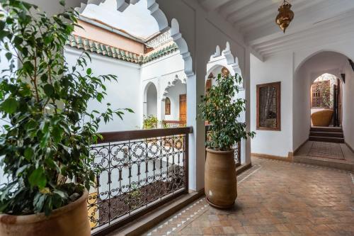 Riad Amin - image 13