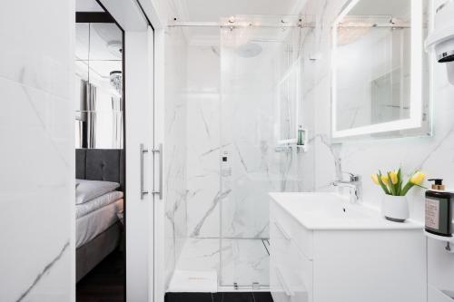 Salomea Krakow apartments, Cracovie (photo 7)