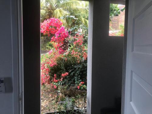 Bleu Cannelle et Petimo Bleu Cannelle et Petimo