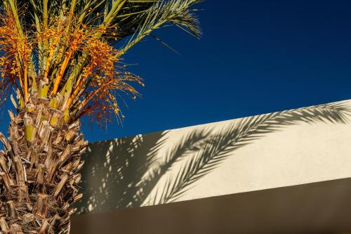 287459851 Sirayane Boutique Hotel & Spa Marrakech