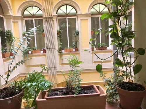 Plaza Goya Rooms
