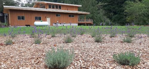 Angels Rest B&B Lavender Farm