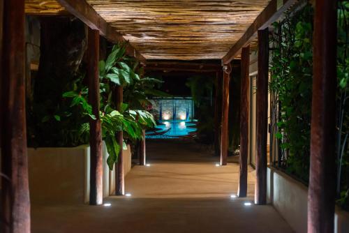 287494798 Blue Palm Bacalar