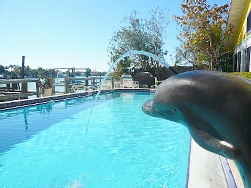 Affordable Beach Condos - One Bed Budget with Full Kitchen condo - image 8
