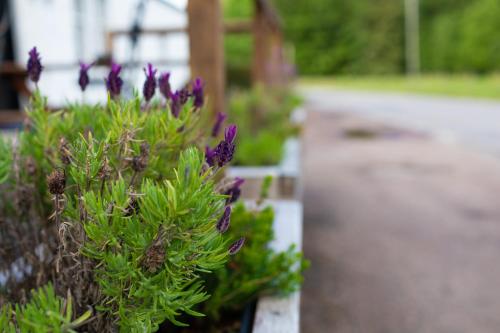 Whitebridge Hotel - image 3