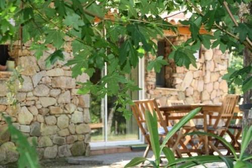 Chalet Conca gîte à louer Forêt d'Albarello