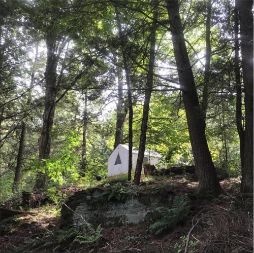 Tentrr - Hickory Grove Pond - image 9