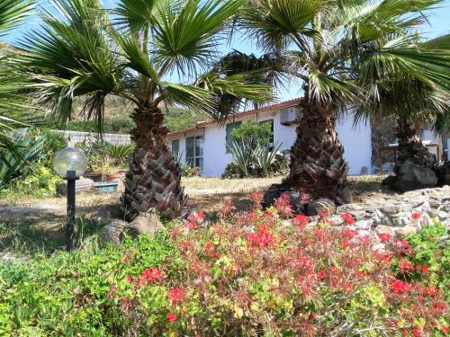  B&B Glamping Semaforo Capo Sperone in SantʼAntìoco