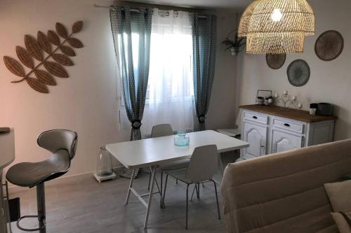 Appartement Cosy Avec Jardin A Blagnac. - Blagnac