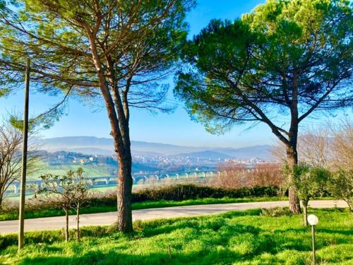 Tenuta Il Sogno 4