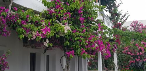 富豪酒店 富豪酒店