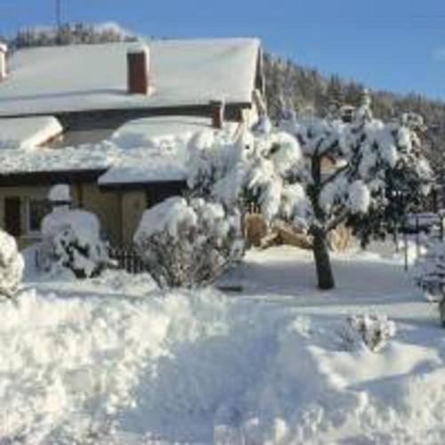 2 bedrooms, 5 beds