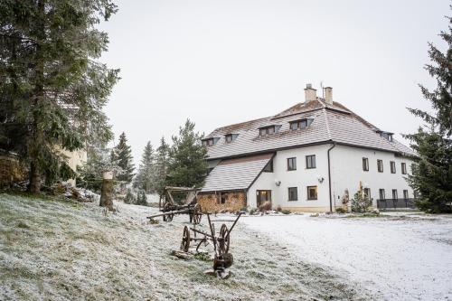 Mlyn Tatry - Apartment - Veľký Slavkov