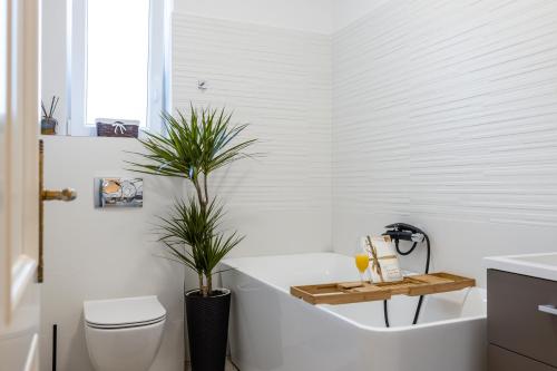 Aurelia Residence
