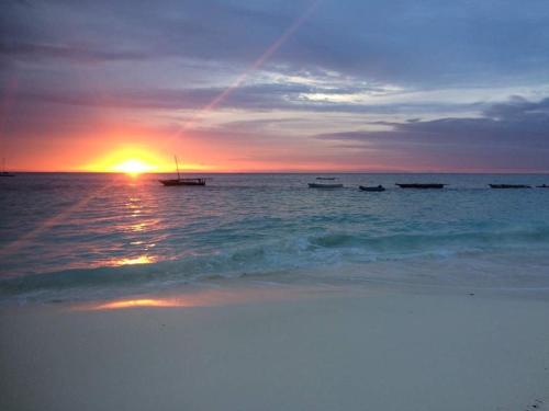 Badolina Bungalows – Nungwi
