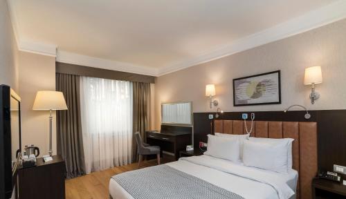 Holiday Inn Istanbul Old City by IHG, Istanbul (photo 7)
