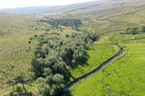 Nethergill Farm - image 7