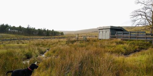 Nethergill Farm - image 3