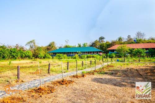 Bigfoot Stay - Forganic Farm & Agro Tourism