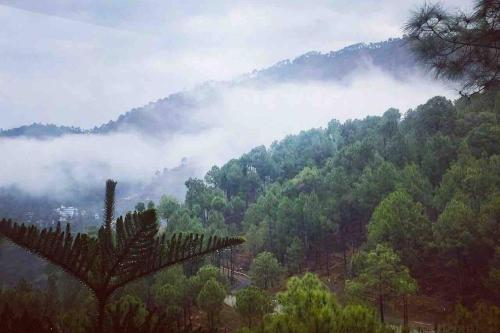 Nature de Villa