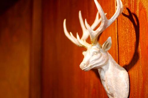 Hotel Hellers Twenty Four I -24h-Check-In- - image 10