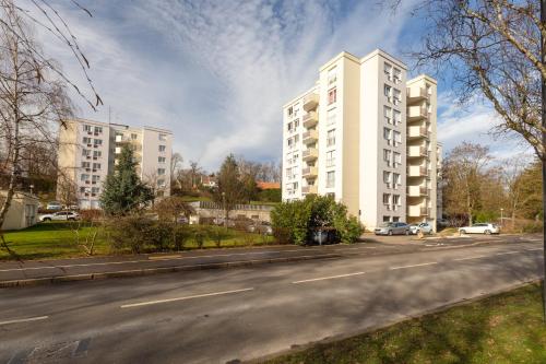 Top of the Rebberg Mulhouse - 2BR near the Zoo - image 10