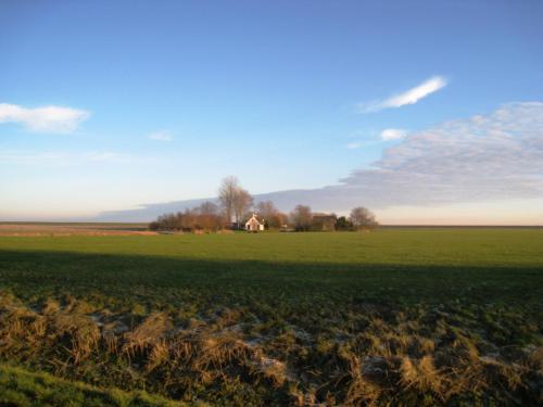 Schönes Ferienhaus am Lauwersmeer 175