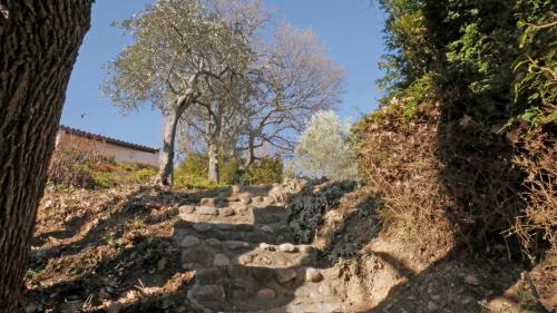 Les Chambres d Hôtes de Valensole au pays des lavandes et proche des Gorges du Verdon