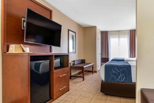 Comfort Suites Niceville Near Eglin Air Force Base - image 4