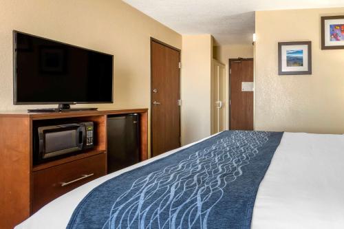 Comfort Inn & Suites Alameda at Albuquerque Balloon Fiesta Park in Albuquerque, USA