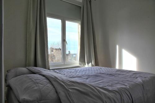 Les appartements du Port - image 6