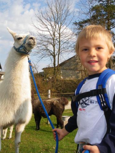 JUFA Hotel Waldviertel - image 13