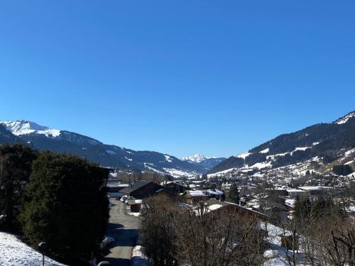 CHALET ' JEANE ' proche centre