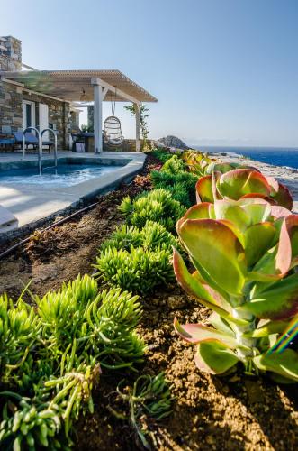 Luxury Suite Private Pool Sea View image 2