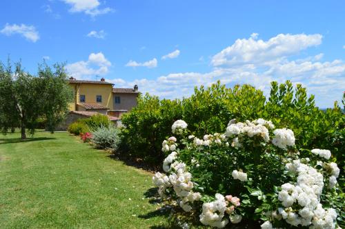 Tenuta Guardastelle - Agriturismo and vineyard