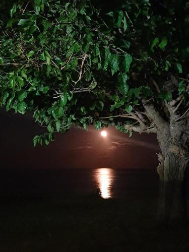 House behind the Sea gîte à louer Fiumefreddo di Sicilia