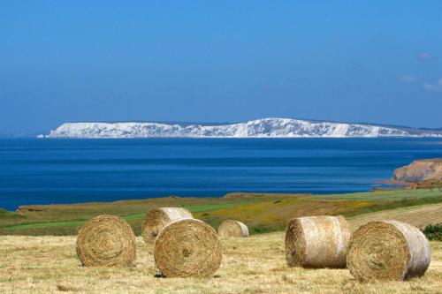 Chale Bay Farm